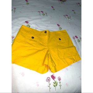 NEW YORK & COMPANY SHORTS